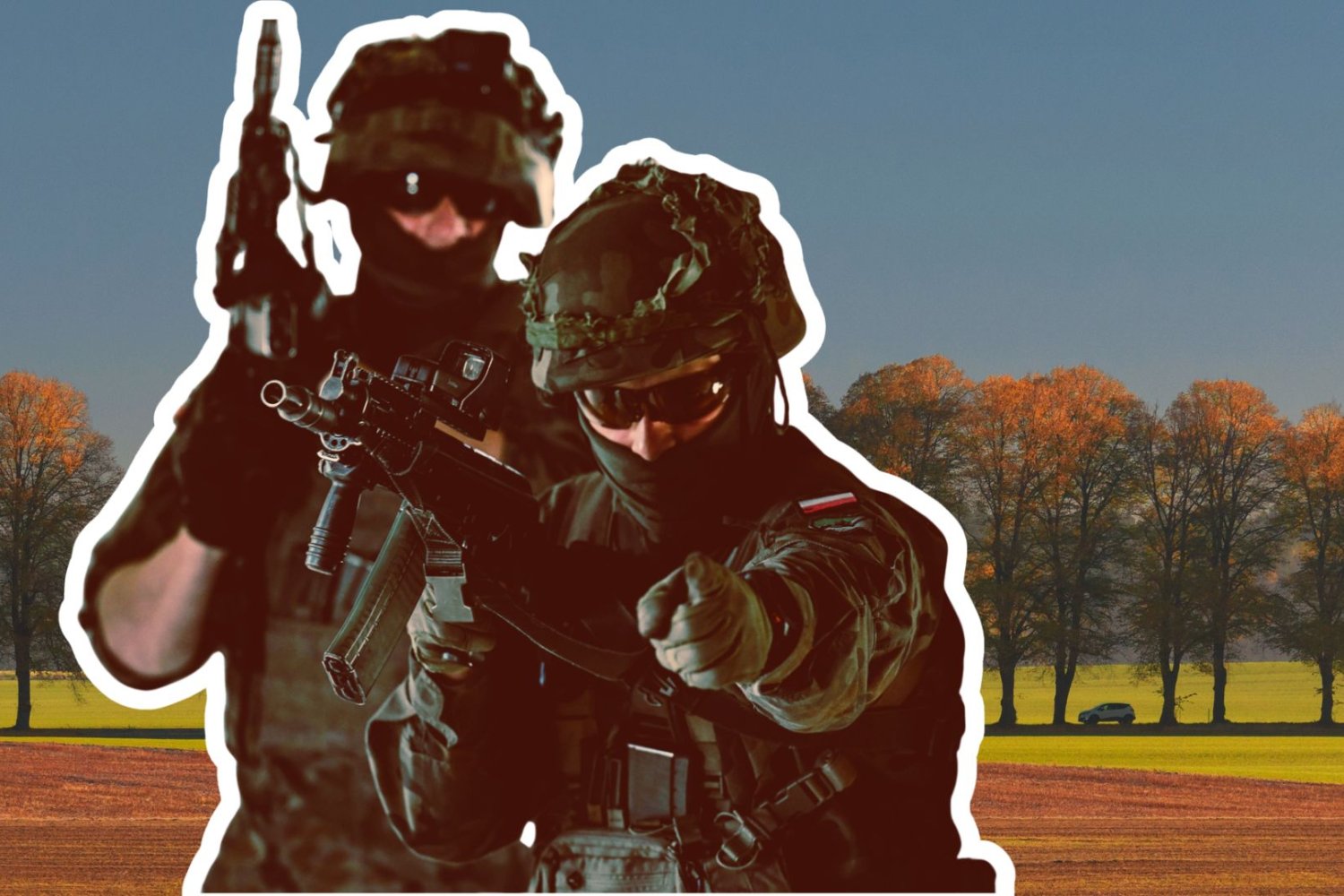 Koniec rzezi przydrożnych drzew? Armia uznała je za… obiekty militarne żołnierze na tle zadrzewionej drogi