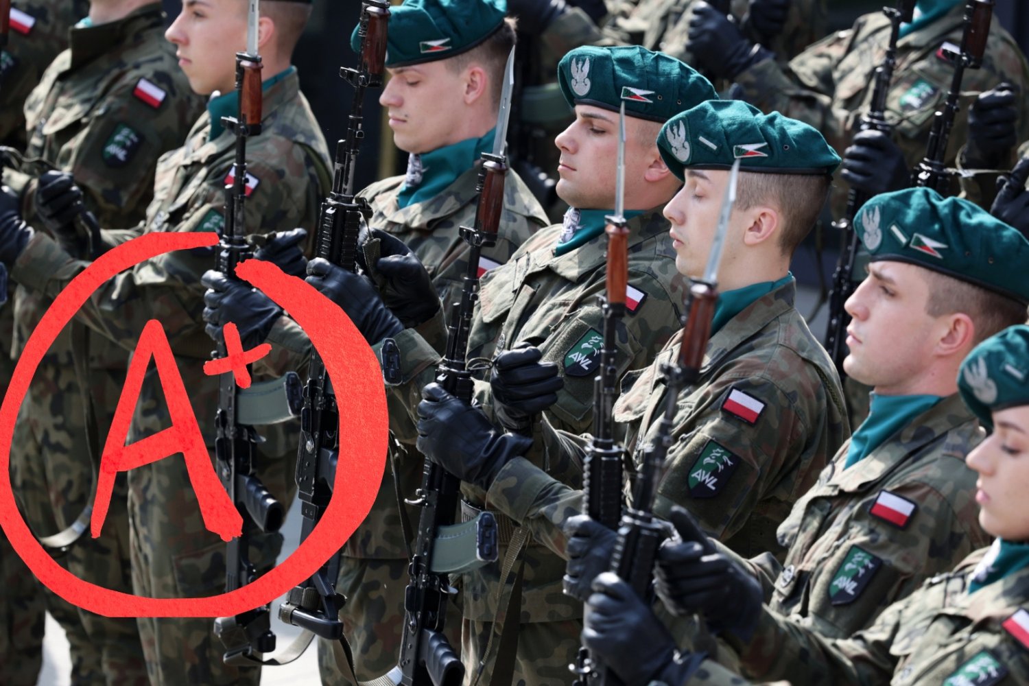 Koniec z marnowaniem talentów w armii. Żołnierzy czeka specjalny test Żołnierze polscy stoją na baczność z karabinami.